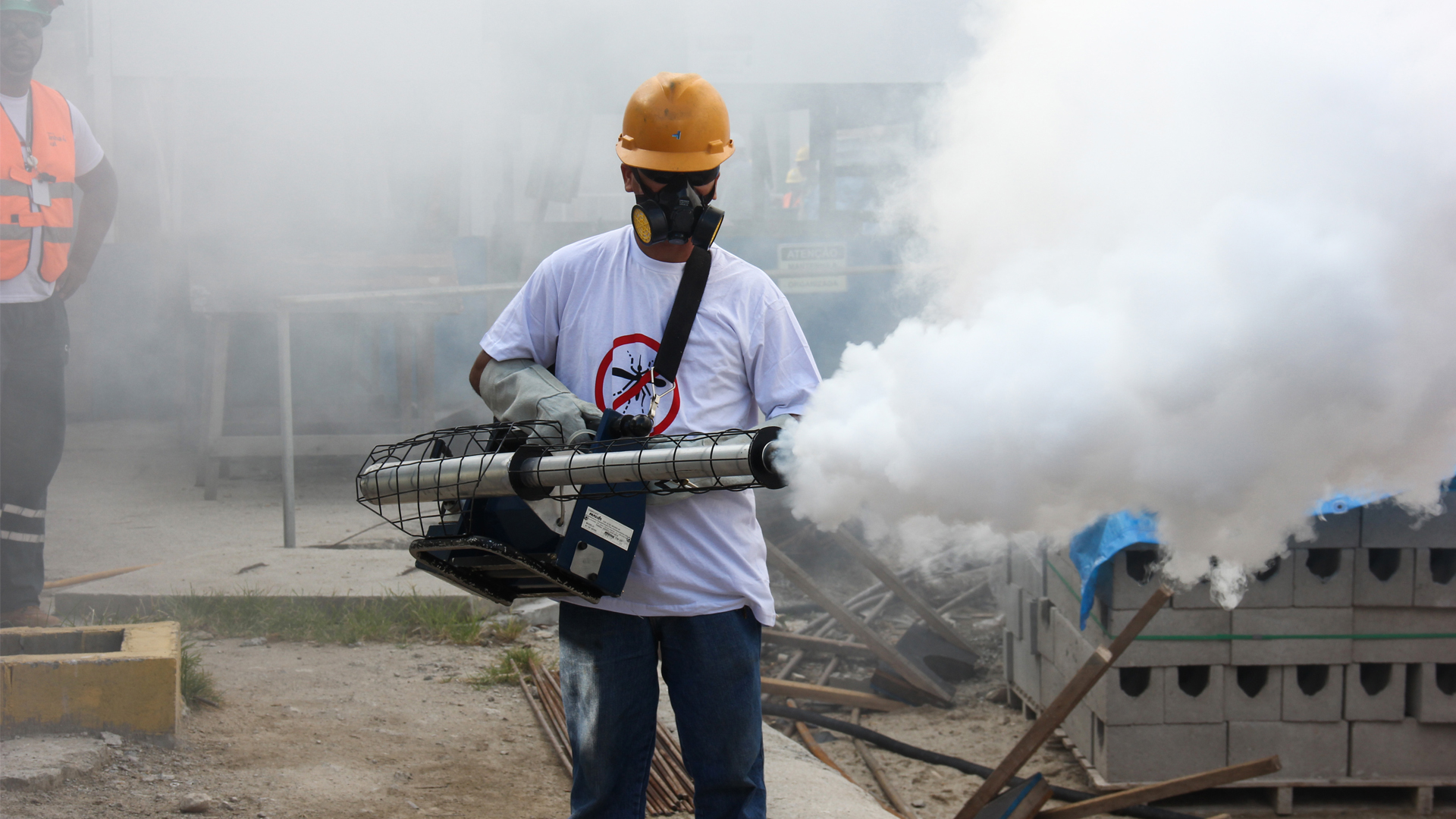 Beating back the Aedes aegypti mosquito