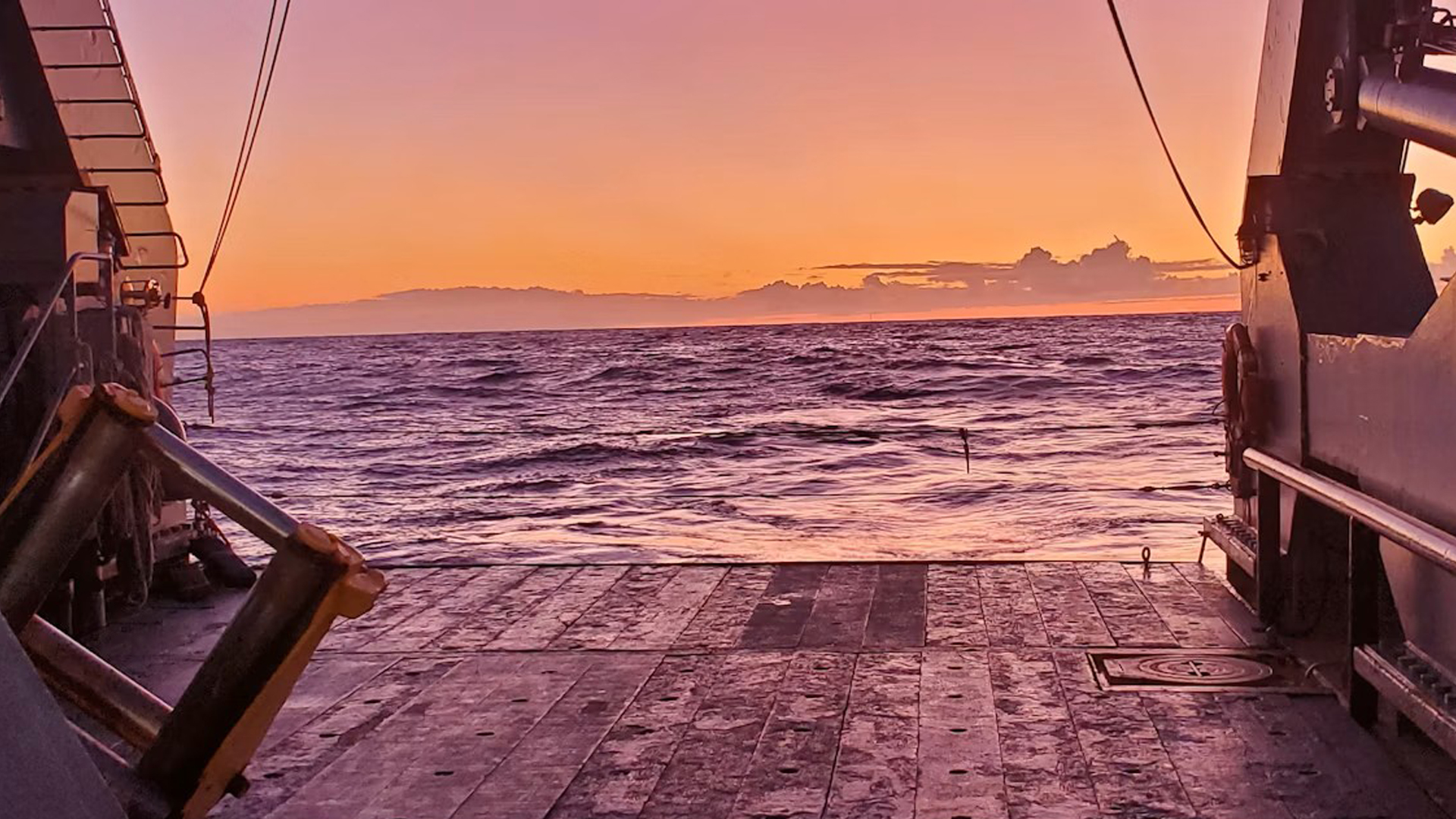 Viruses aren’t all bad: In the ocean, some help fuel the food web – a new study shows how