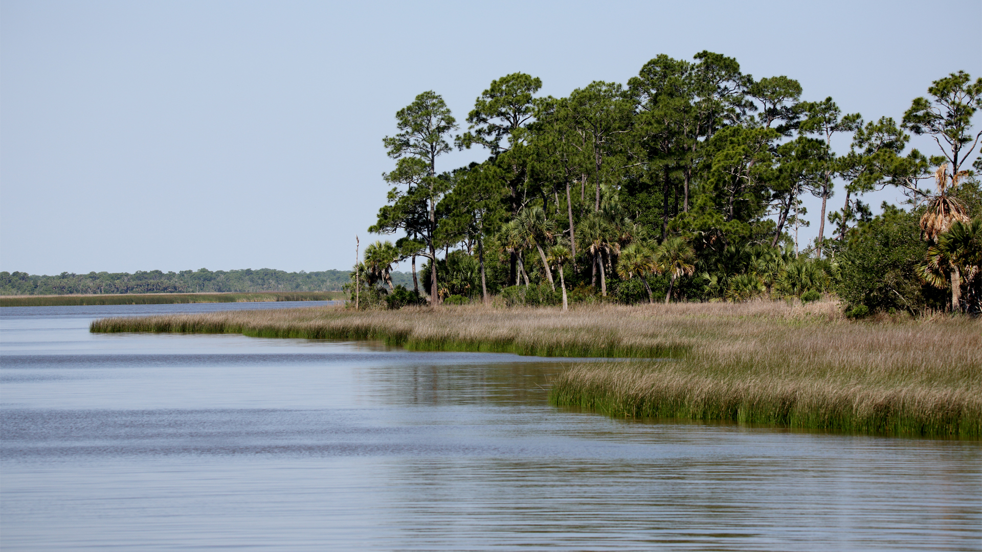 New Florida Panhandle forest deal to aid Apalachicola Bay