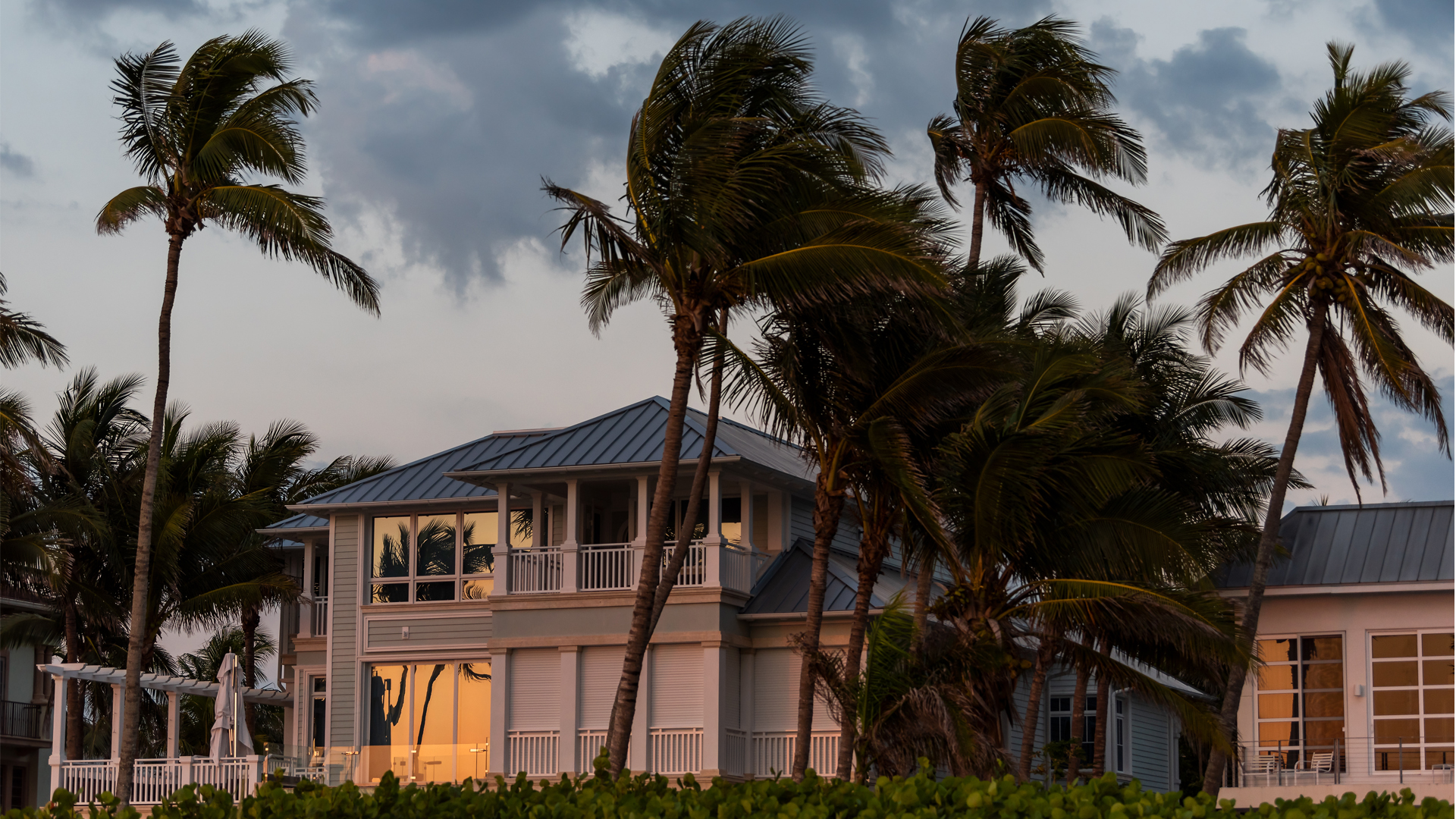 Researchers find trees can shield homes from storms