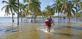 Report: Florida at highest risk for flooding from climate change