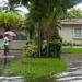 Miami streets could flood every single day by 2070 under many climate models, NOAA says
