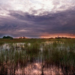 Sea rise is outpacing Everglades restoration — but scientists say there’s a solution