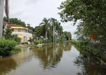 Delray to put climate change at forefront: ‘The waters are coming’