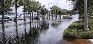 Miami rises to meet climate challenge | Caroline Lewis, advocate