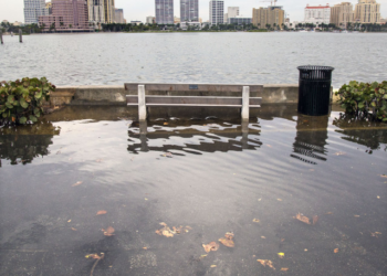 Mayors of West Palm, Delray Beach defy Trump on climate change. Good for them.