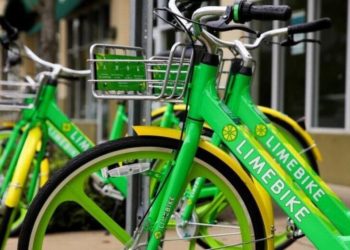 Residents, cities taking charge of protecting the environment