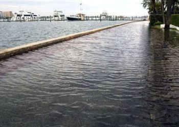 Climate change, king tides could force marathon reroute