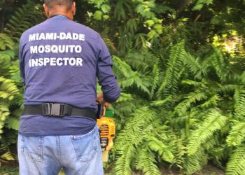 Mosquito Season Could Get Longer And More Hazardous To Your Health — Especially In Miami