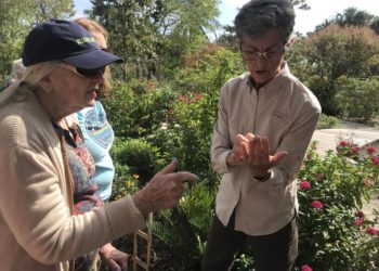In Palm Beach County, Learning How Climate Change Impacts The Everglades