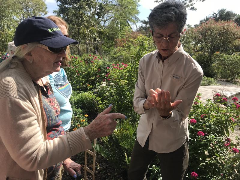 In Palm Beach County, Learning How Climate Change Impacts The Everglades