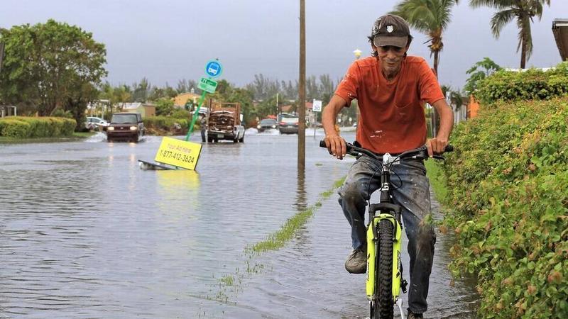 South Florida News Outlets Collaborate To Tackle Threat Of Sea-Level Rise