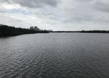 The Lake Worth Lagoon Has Overcome A Lot. Climate Change Is A New Threat