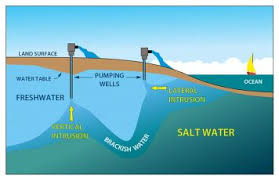 Ways to protect our drinking water from rising seas