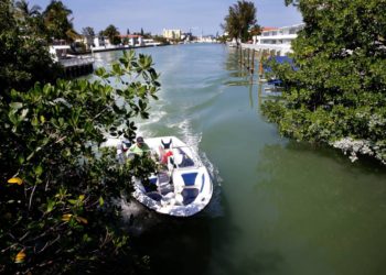 Historic label on buildings may preclude protection against sea rise, developer says