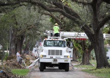 With the Sea Rising, Are Underground Power Lines Really The Solution To Power Outages In South Florida?
