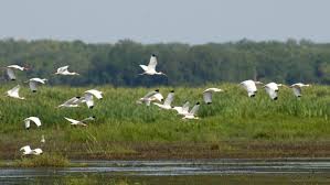 Protect the Everglades because it protects South Florida