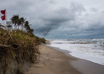 Editorial: We must do more to address coastline’s distressed beaches