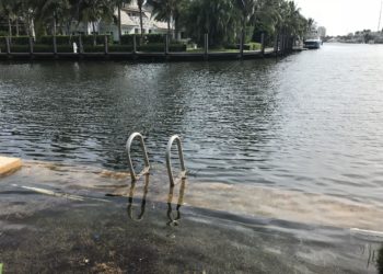 King Tide Gives South Florida A Taste Of Life Underwater