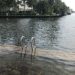 King Tide Gives South Florida A Taste Of Life Underwater