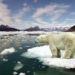 Media roundup: 7-degree rise in global temps; Arctic lakes leaking methane; the stages of climate change acceptance