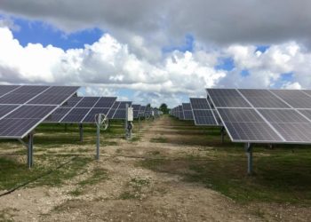 Analyst: Midterm Elections Are An Opportunity For The Sunshine State To Up Its Renewable Energy Use