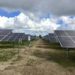 Analyst: Midterm Elections Are An Opportunity For The Sunshine State To Up Its Renewable Energy Use