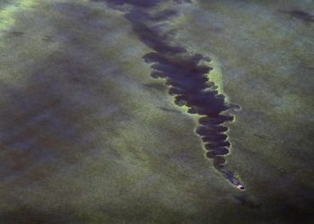 DeSantis wants to lower Lake Okeechobee to deal with toxic algae. Is that a good thing?