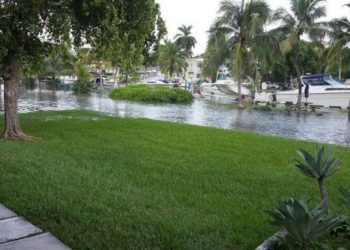 A $3 billion problem: Miami-Dade’s septic tanks are already failing due to sea rise