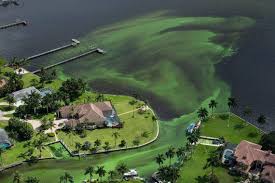 DeSantis calls for South Florida water managers to resign and pulls Scott appointments