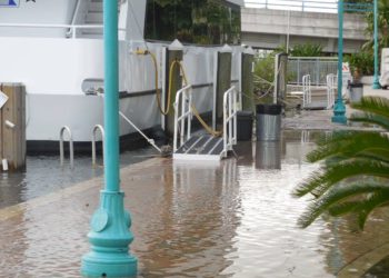 Delray mayor says the city has the time and money to build sea walls to protect against flooding