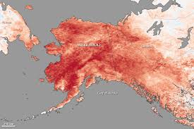 Media Roundup: Big Oil investing in carbon removal; Alaska is hot; nuke power is safe; cities could disappear