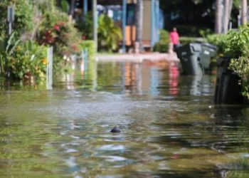 Rising seas leave more cities grasping for solutions