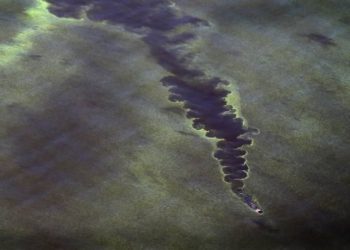 Florida’s Dirty Water Tops List of Woes For New Chief Science Officer