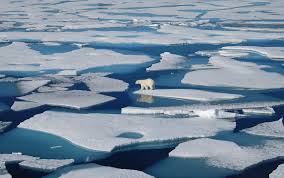 As the planet gets hotter, South Floridians need to pay attention to Greenland’s melting ice