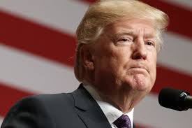 Media Roundup: Trump touts environmental record; media improve climate coverage; restoring forests; expensive Sarasota sea walls