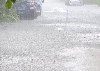 Palm Beach County’s cities, towns taking the initiative on sea-level rise threat
