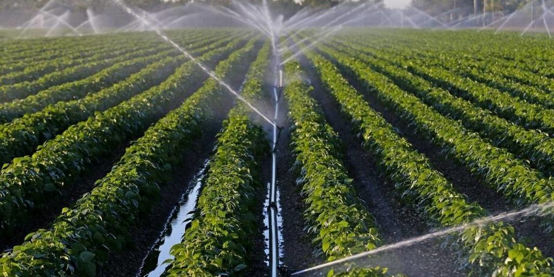 As climate change hits Florida agriculture, could the future be ‘carbon farming’? The Invading Sea