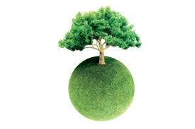 Your retirement savings are invested in green funds, but are they resilient? New technology may help answer that question.