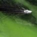 The Legislature and local governments need to fix Florida’s dilapidated wastewater treatment systems