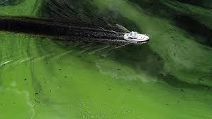 The Legislature and local governments need to fix Florida’s dilapidated wastewater treatment systems