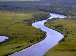 Allowing oil exploration in the Apalachicola River floodplain is a stupid idea