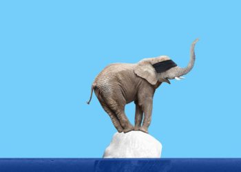 The rising tide of conservative climate activism
