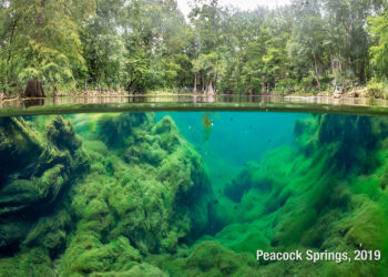 The Clean Waterways Act is not going to save Florida’s waterways; they need ‘Rights of Nature’ protection