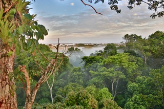 On Earth Day, we should commit to saving the world’s oceans and forests