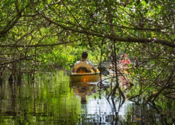 If we treasure the Everglades, we must protect its health the way we are protecting ourselves during the pandemic