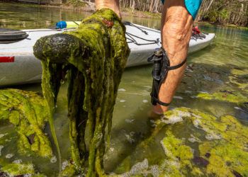 The Clean Waterways Act is not going to save Florida’s waterways; they need ‘Rights of Nature’ protection