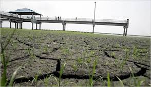Florida drought highlights the need to complete the restoration of the Everglades