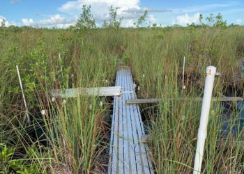 South Florida Had Its Driest March On Record. Summer Could Be Trouble