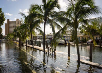 Broward County adopts regulations that require property owners to fix seawalls and disclose whether property is in ‘tidal-flooding area’